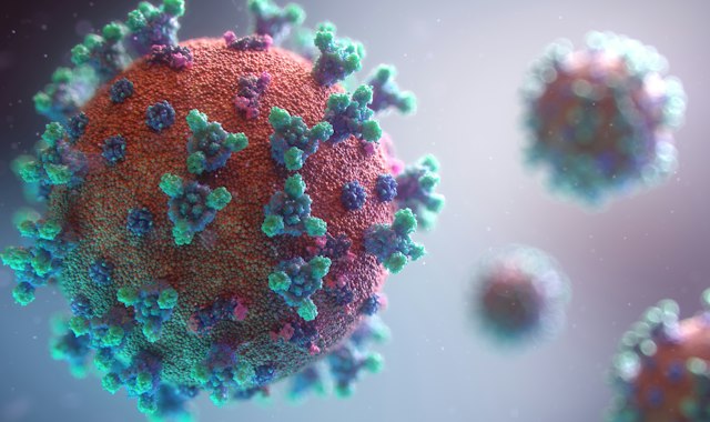 Cancer Immunology and Vaccines