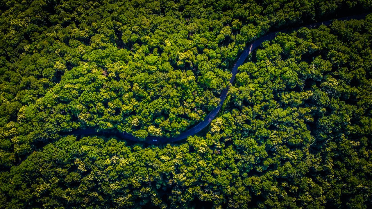 Environmental Nanoscience